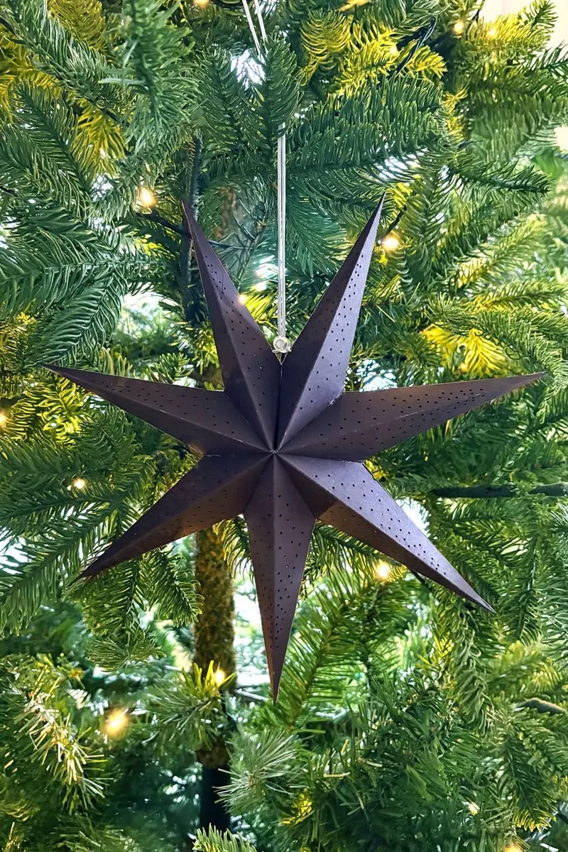 Adorno Estrella Negra