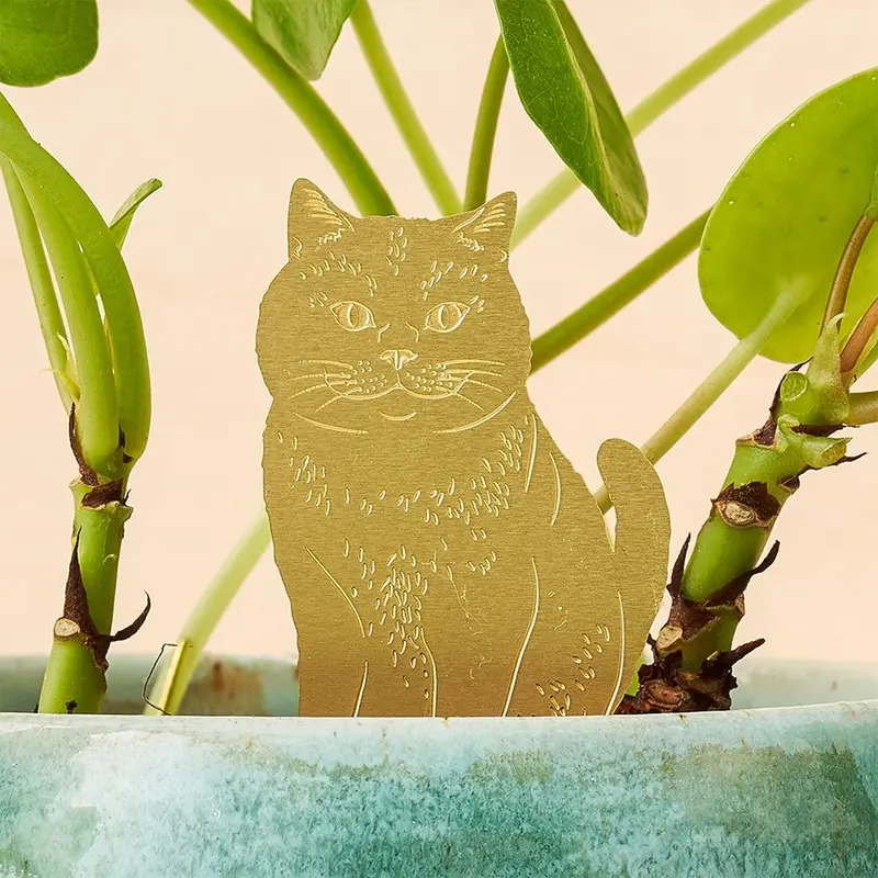 Animal para Plantas Gato