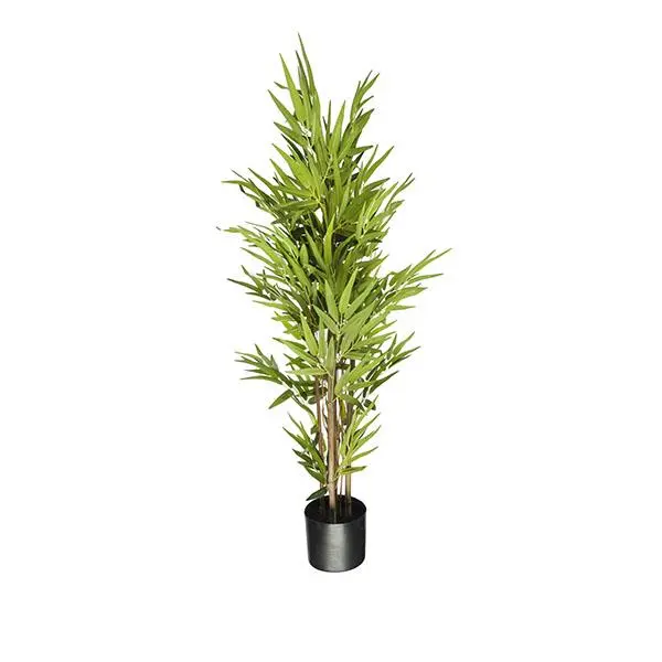 Arbol bambu