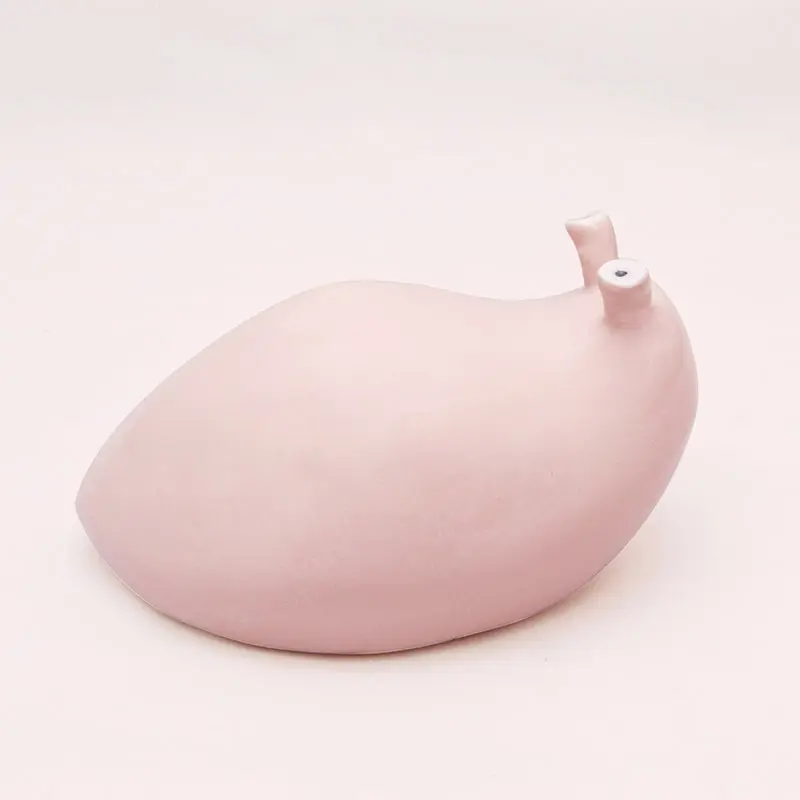 Babosa Rosa Ñoño Mediana