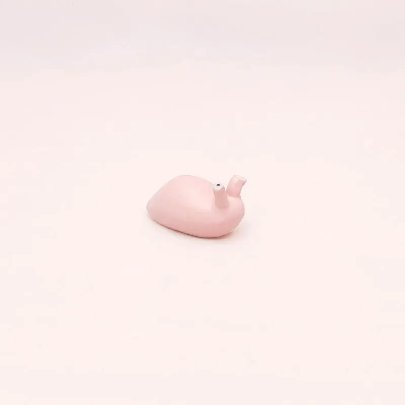 Babosa Rosa Ñoño Mini