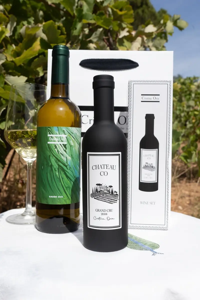 Bolsa Vino & Botella Con Accesorios Para El Vino CO