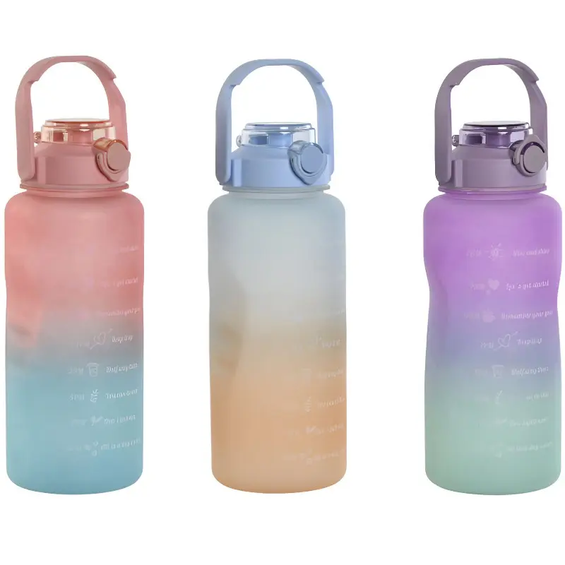 BOTELLA PP 10,5X30,5CM 2L SURT.