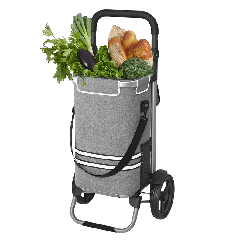 Carro de Compras Plegable