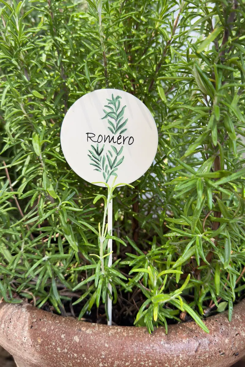 Cartel Para Plantas De Jardín Romero