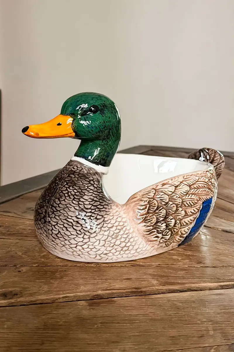 Centro De Mesa Diseño Pato