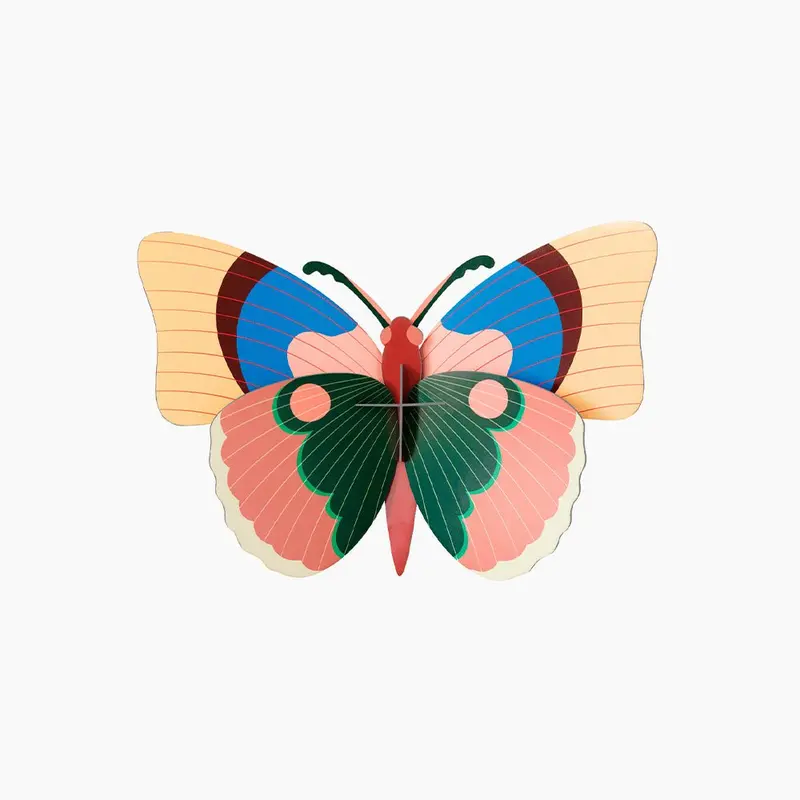 Cepora - Butterfly