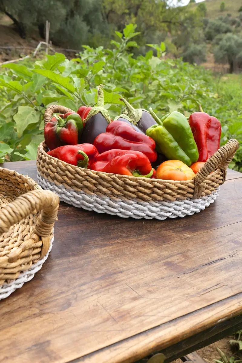 Cesta De Mimbre Bicolor
