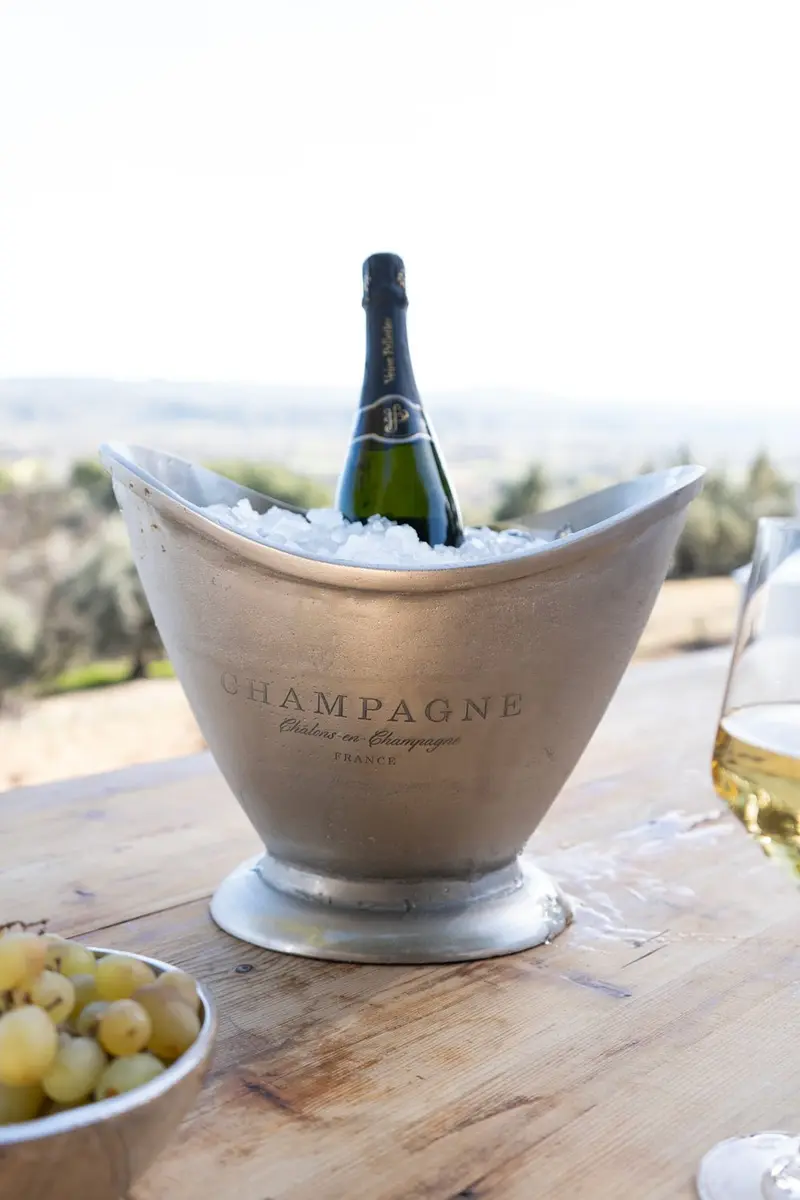 Champanera Plateada Ovalada Con Diseño "Champagne"