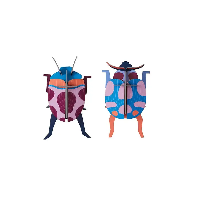 Coccinelle Couple