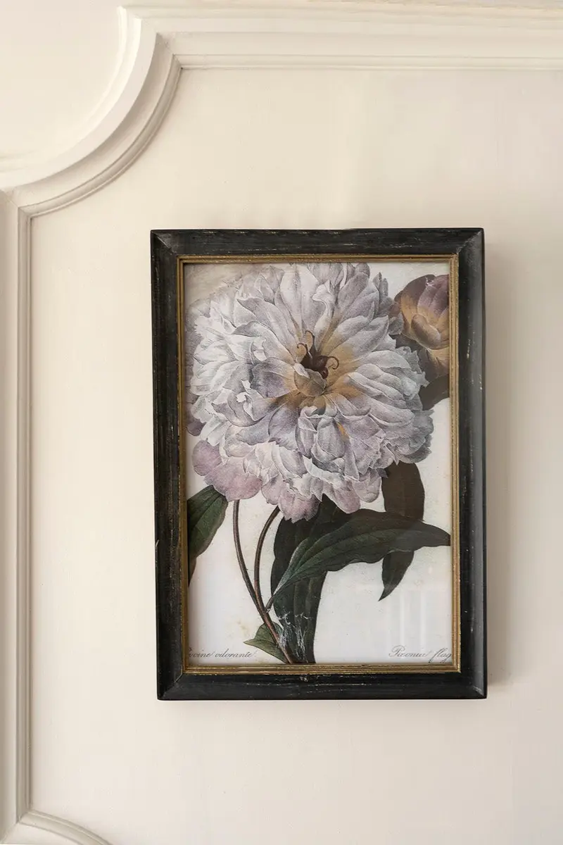 Cuadro Flor Peonía