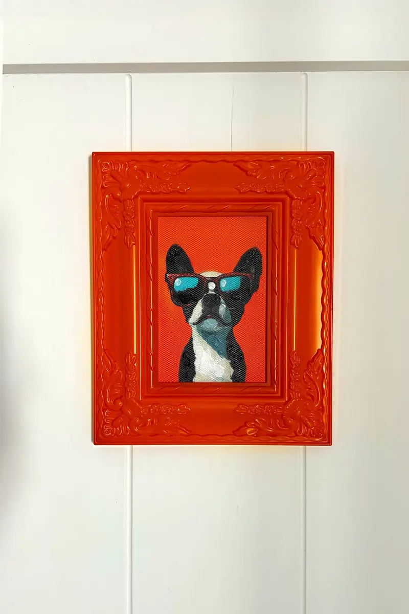 Cuadro Naranja Perro