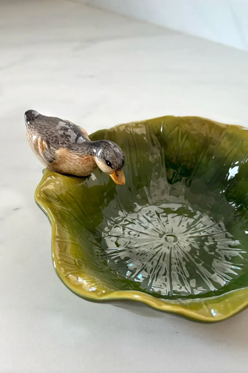 Cuenco Con Diseño De Hoja Y Figura De Pato