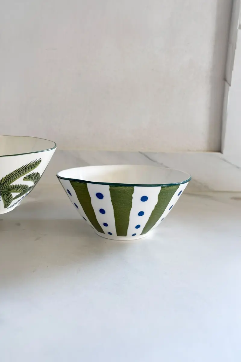 Cuenco De Porcelana Diseño Tropical Rayas Verdes