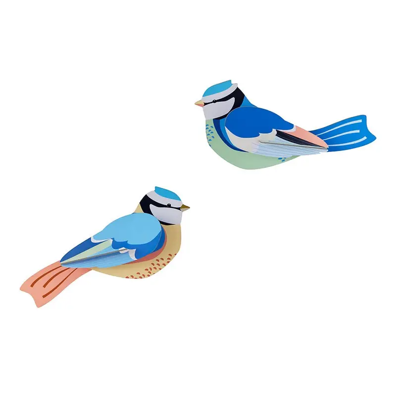 Garden Bird - Blue Tits