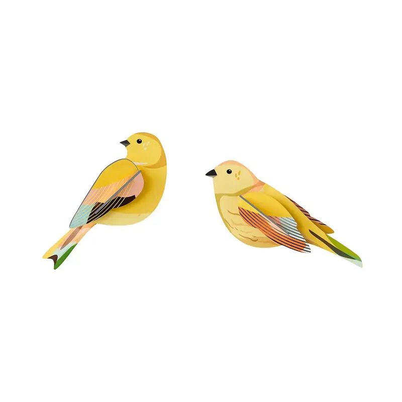 Garden Bird - Citrinella Pair