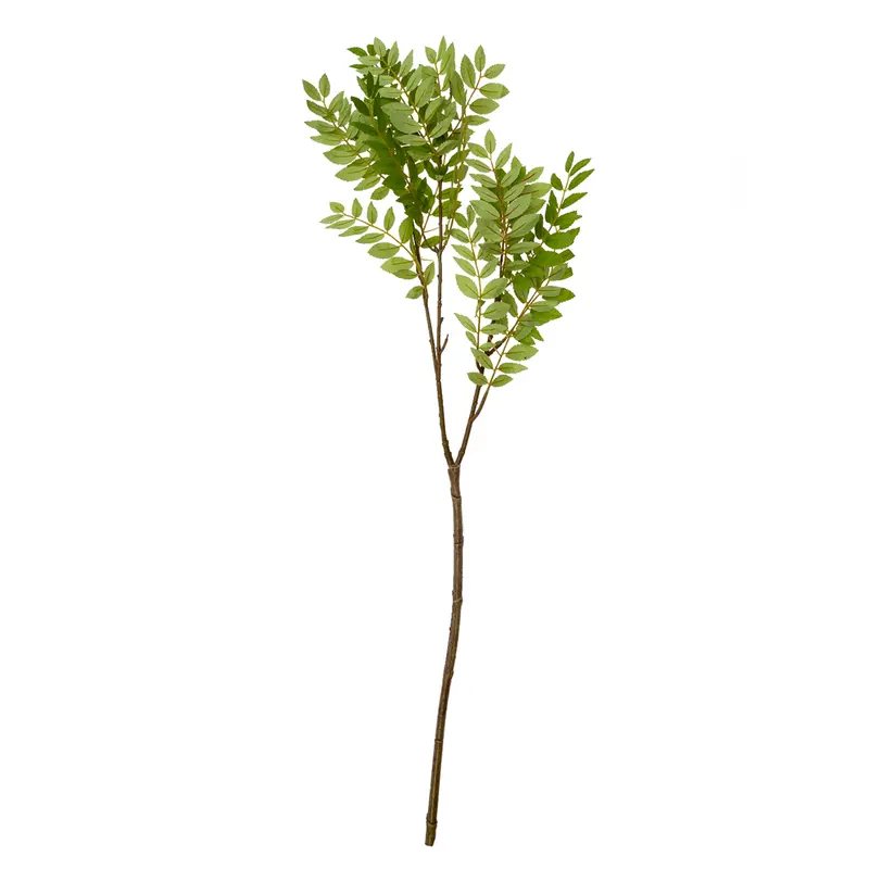 Hojas de serbal