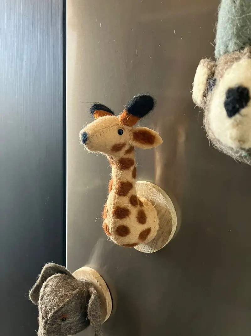 Imán Con Diseño De Cabeza De Animal