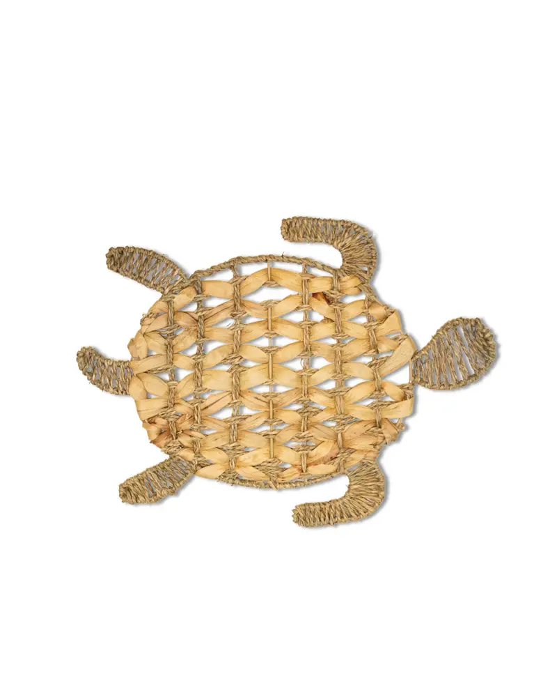 INDIVIDUAL GALÁPAGO