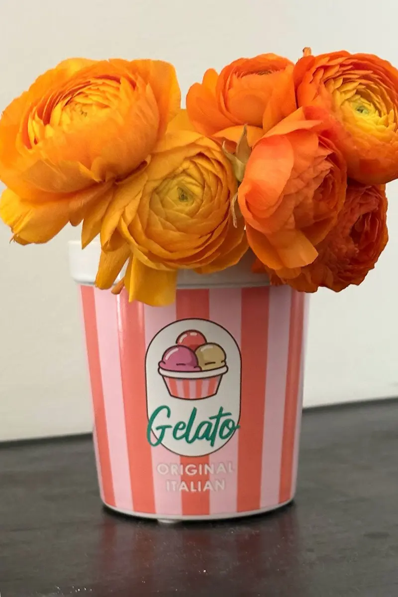 Jarrón "Gelato" Rosa y Rojo