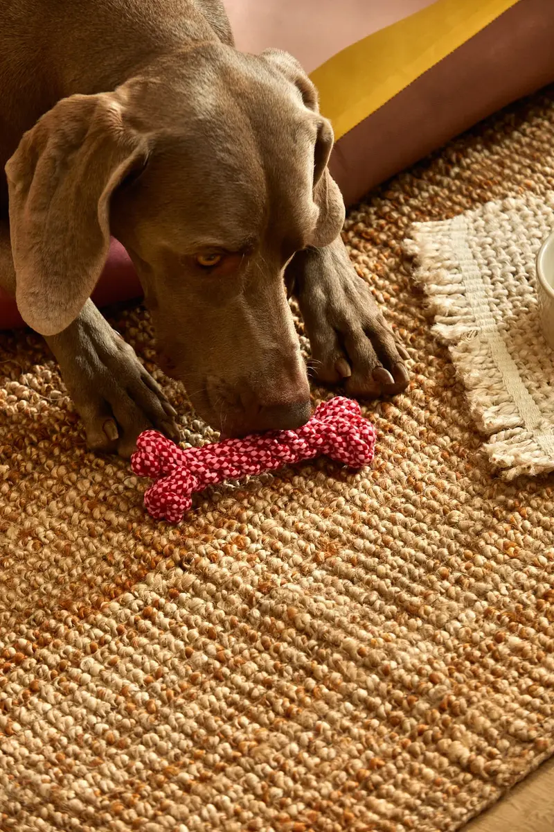 Juguete para mascotas hueso rosa Buby