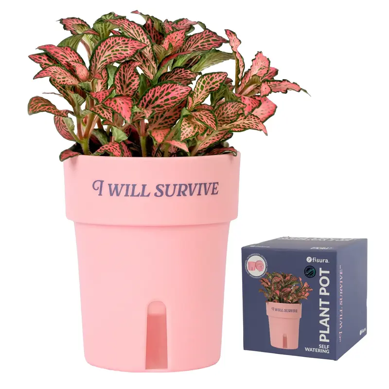 Macetero autorriego “I will survive”