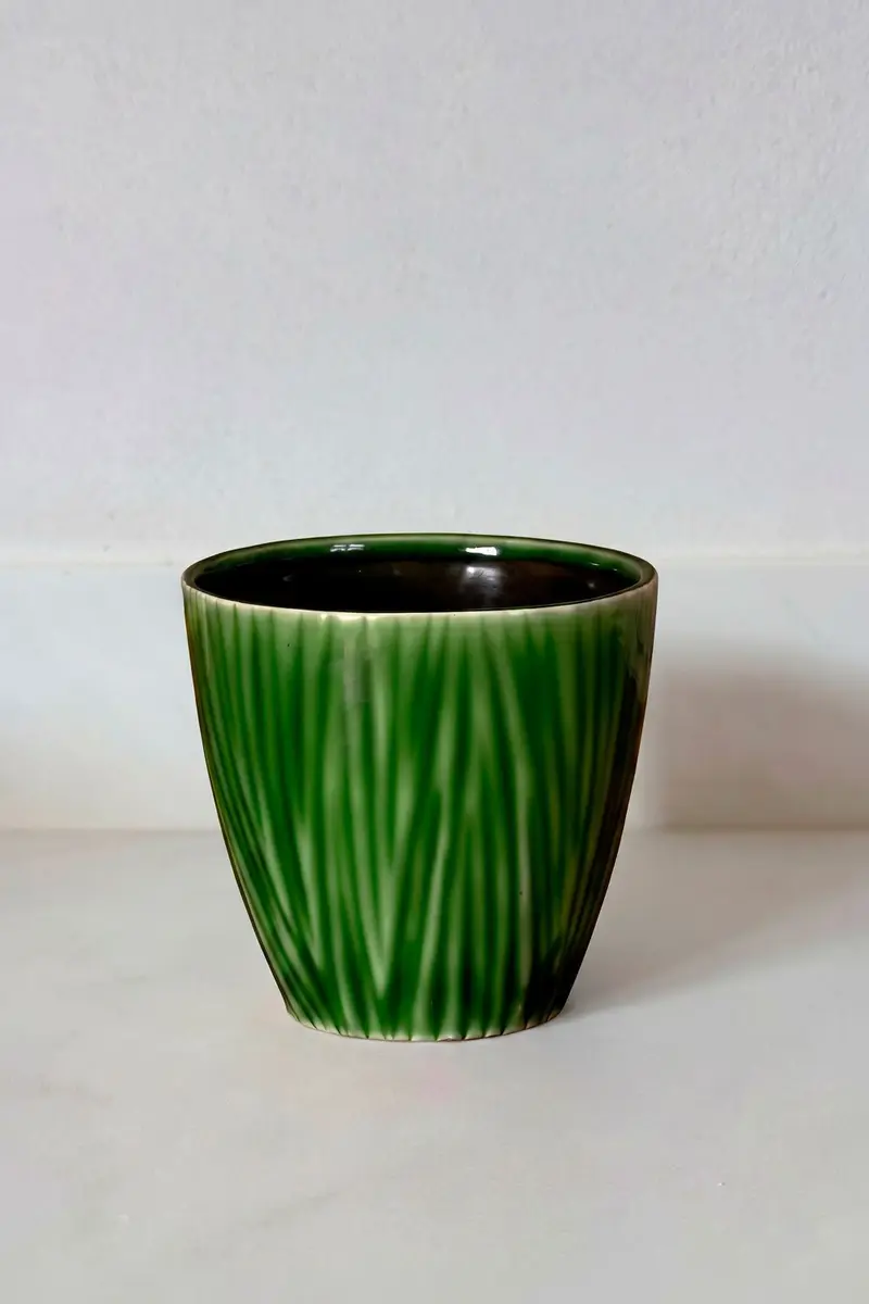Macetero Diseño Musgo
