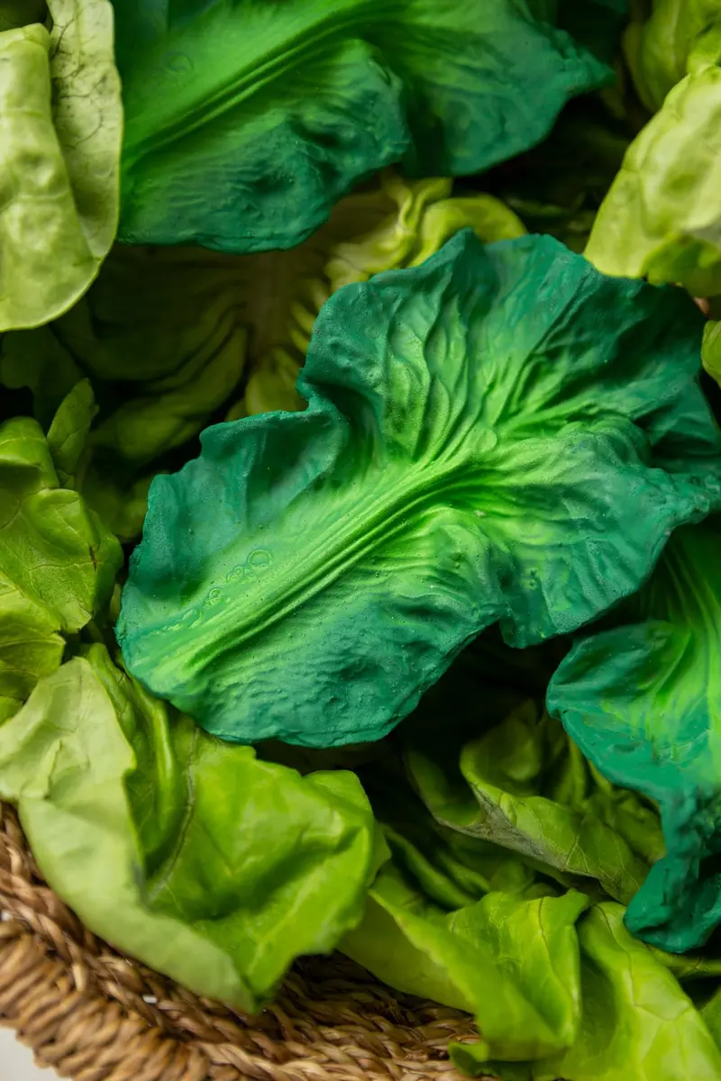 Mordedor Para Bebés Con Diseño De Kale