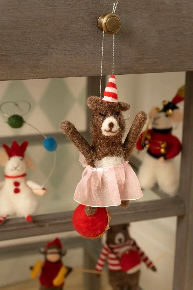 Oso De Circo