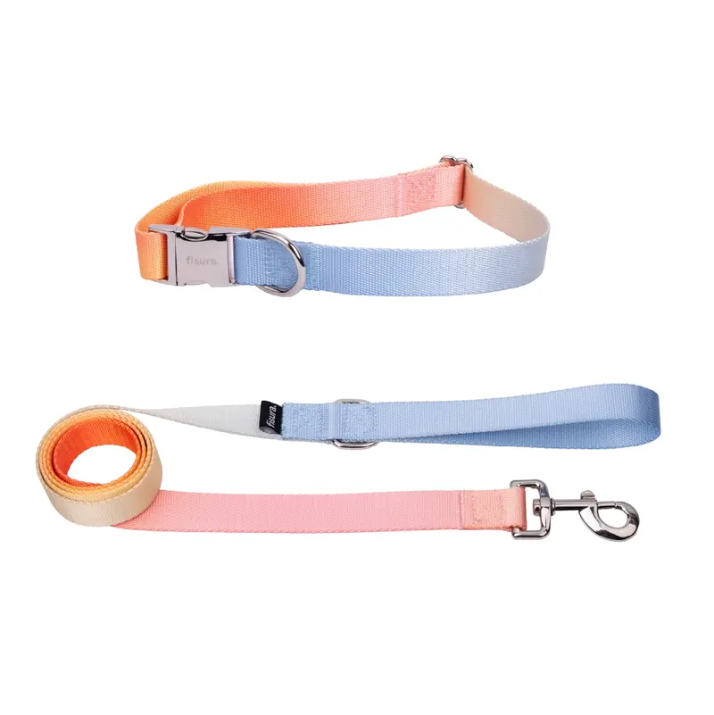 Pack de collar y correa "Degradado" S-M