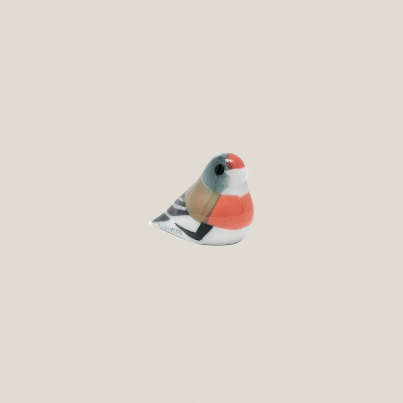 Pájaro 1/PT