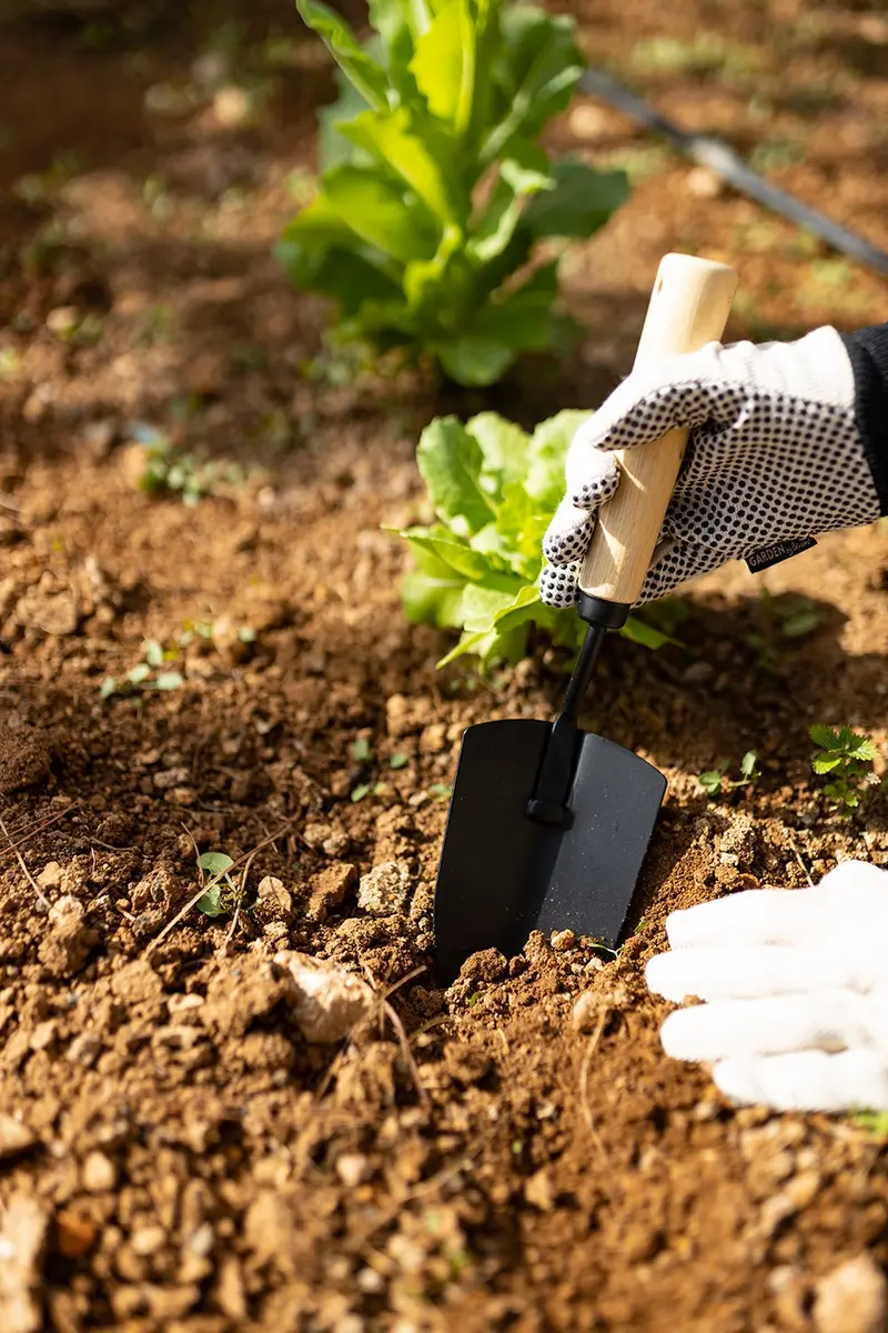 Pala De Acero Y Madera Para Plantación