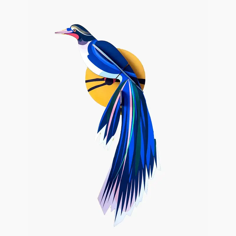 Paradise Bird - Flores