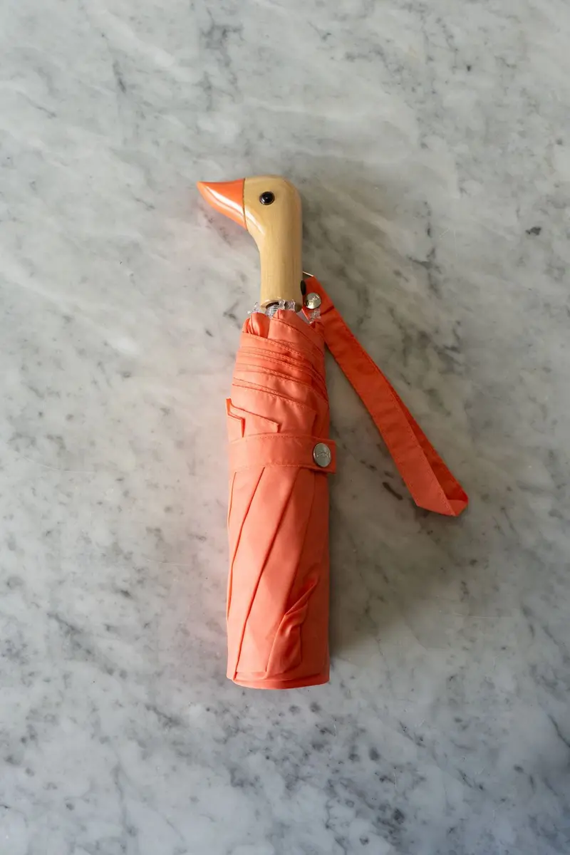 Paraguas Con Diseño Naranja Melocotón Y Mango Con Cabeza De Pato