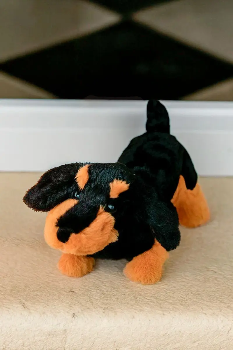 Peluche Teckel CO