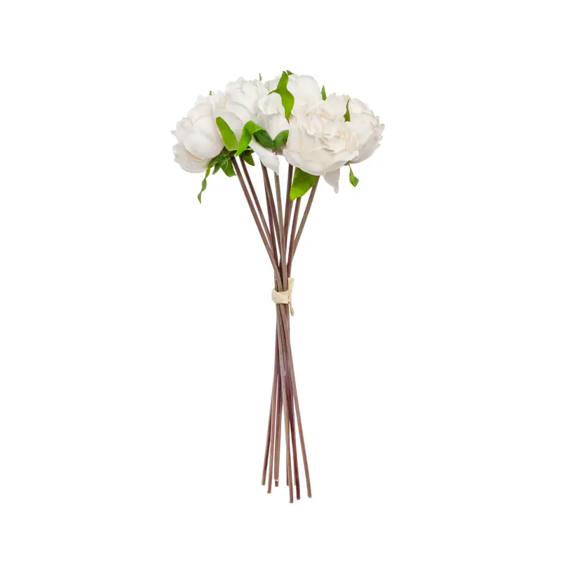Peony bundle
