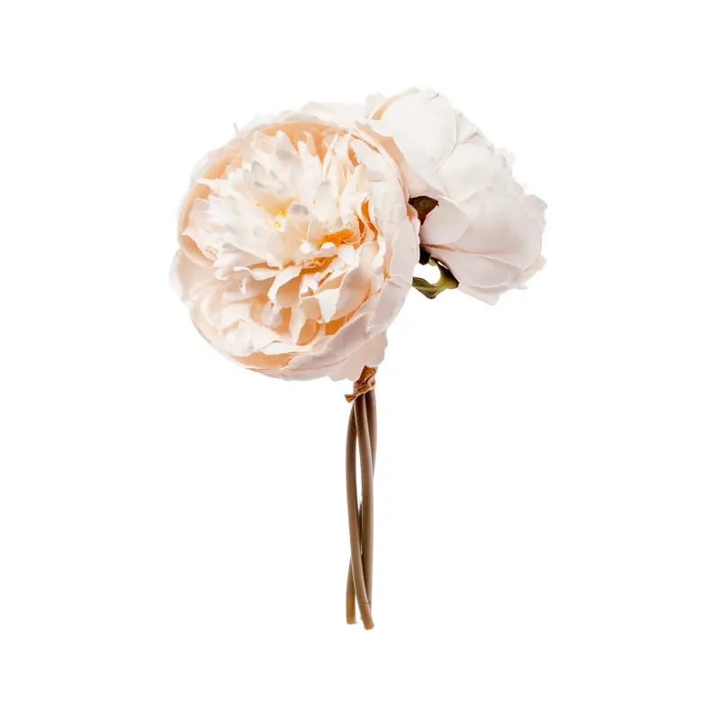 Peony bundle