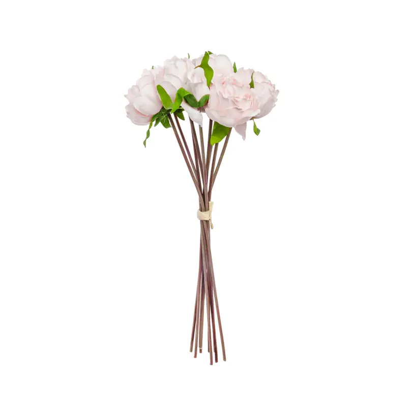 Peony bundle