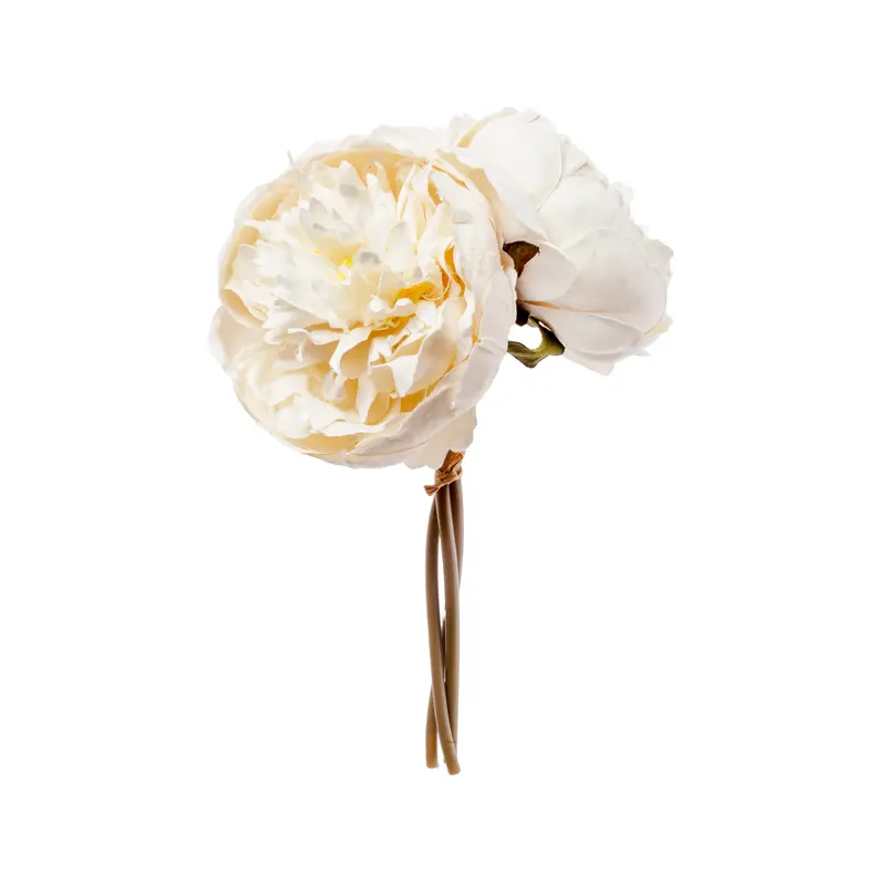 Peony bundle