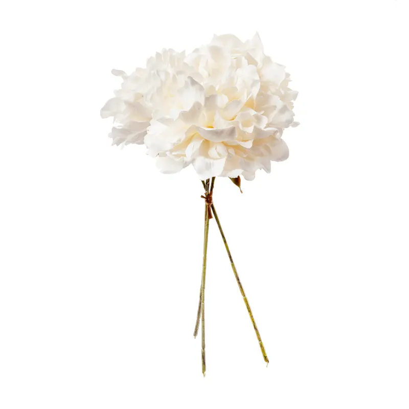 Peony bunle