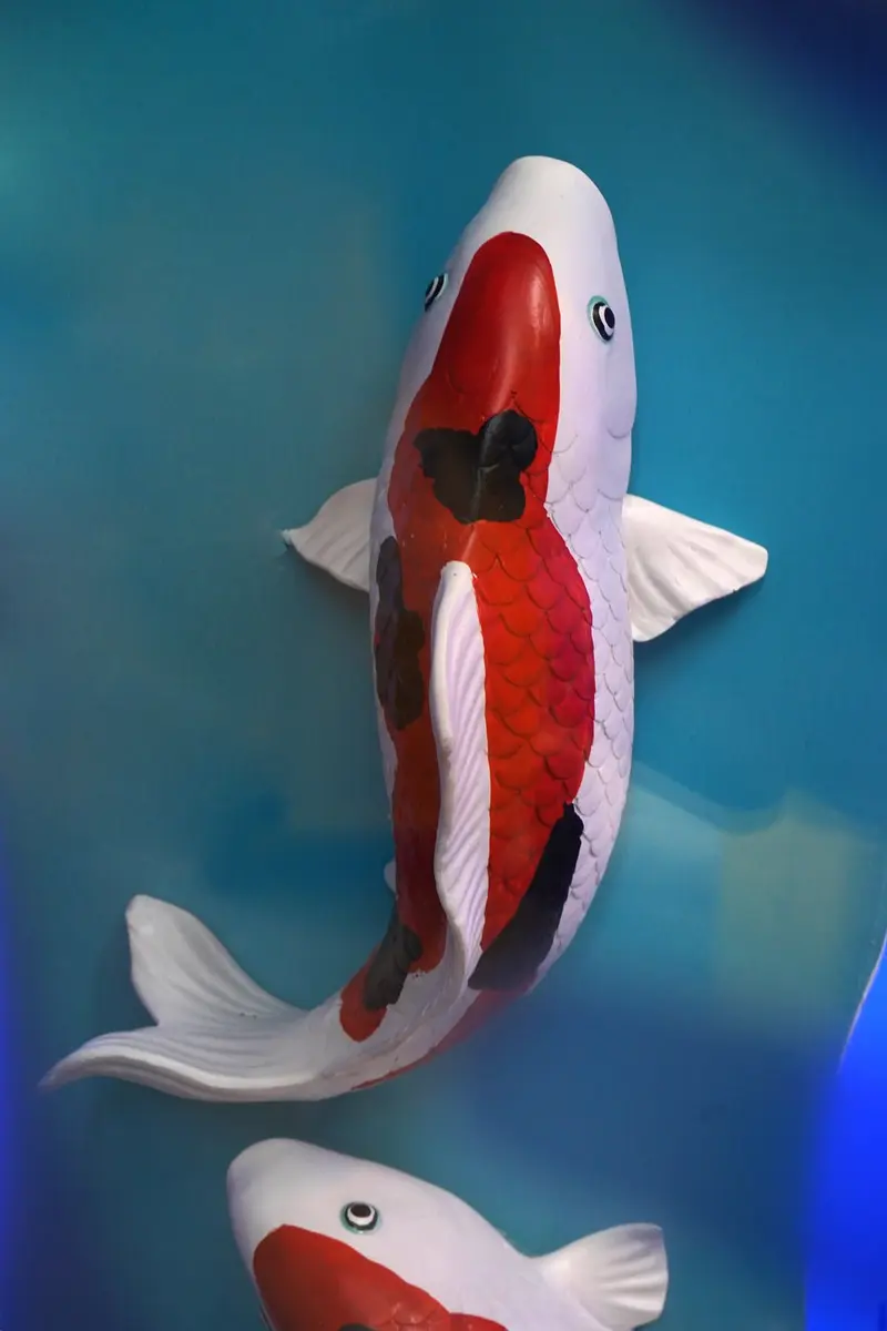 Pez Koi De Decoración Alargado