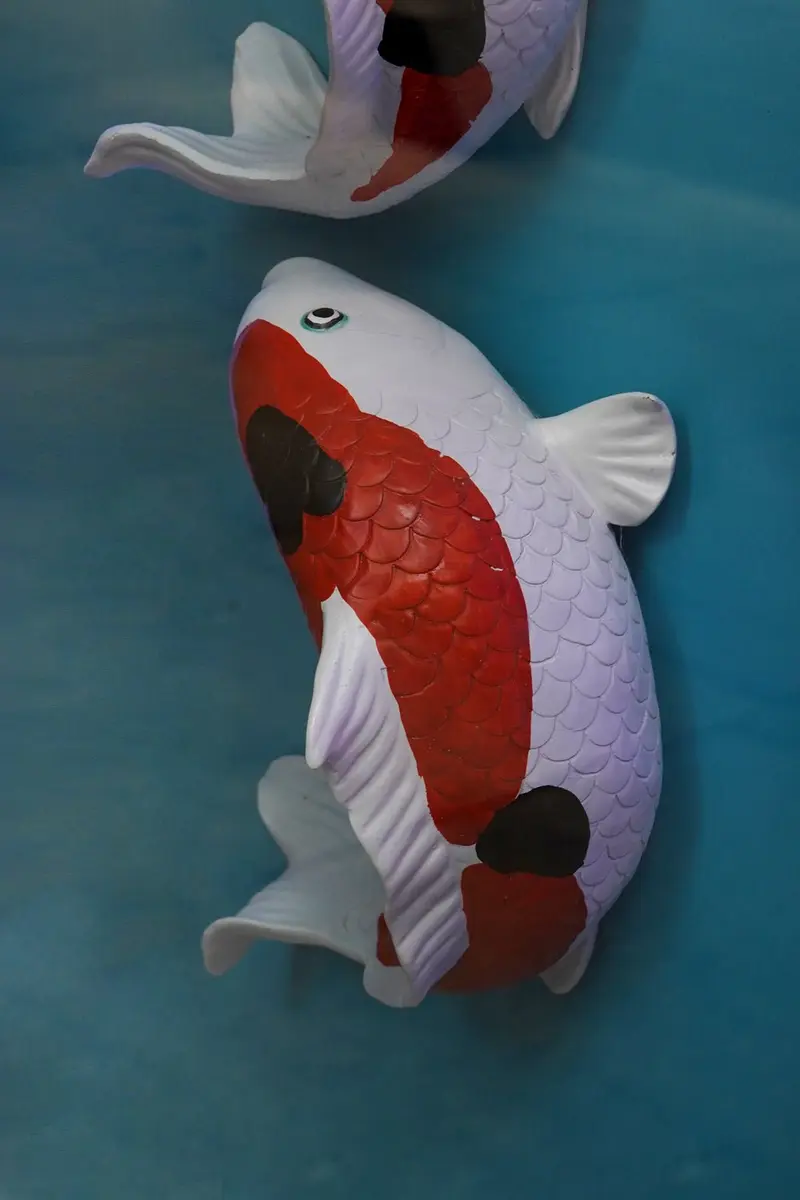 Pez Koi De Decoración