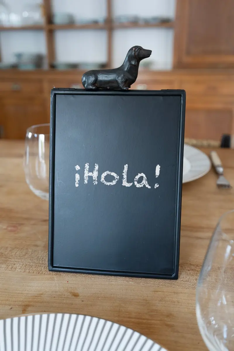 Pizarra Magnética Con Diseño De Teckel
