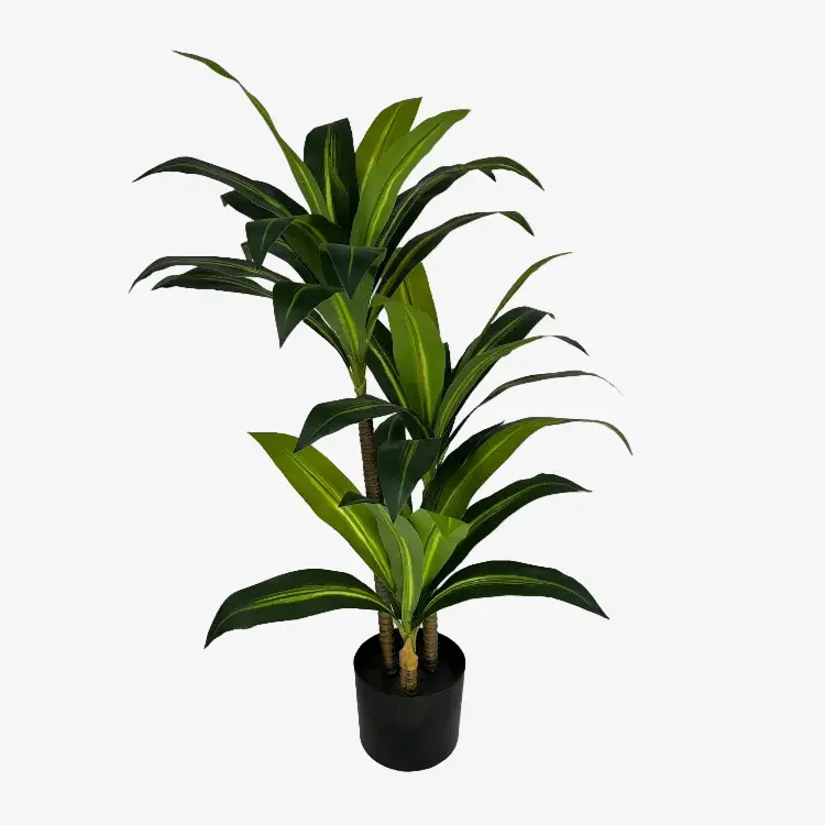 Planta artificial Dracena H90