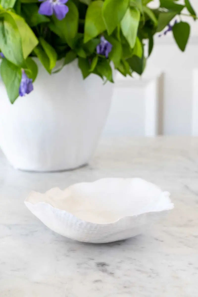 Plato Irregular De Porcelana Blanco Brillante 14 Cm