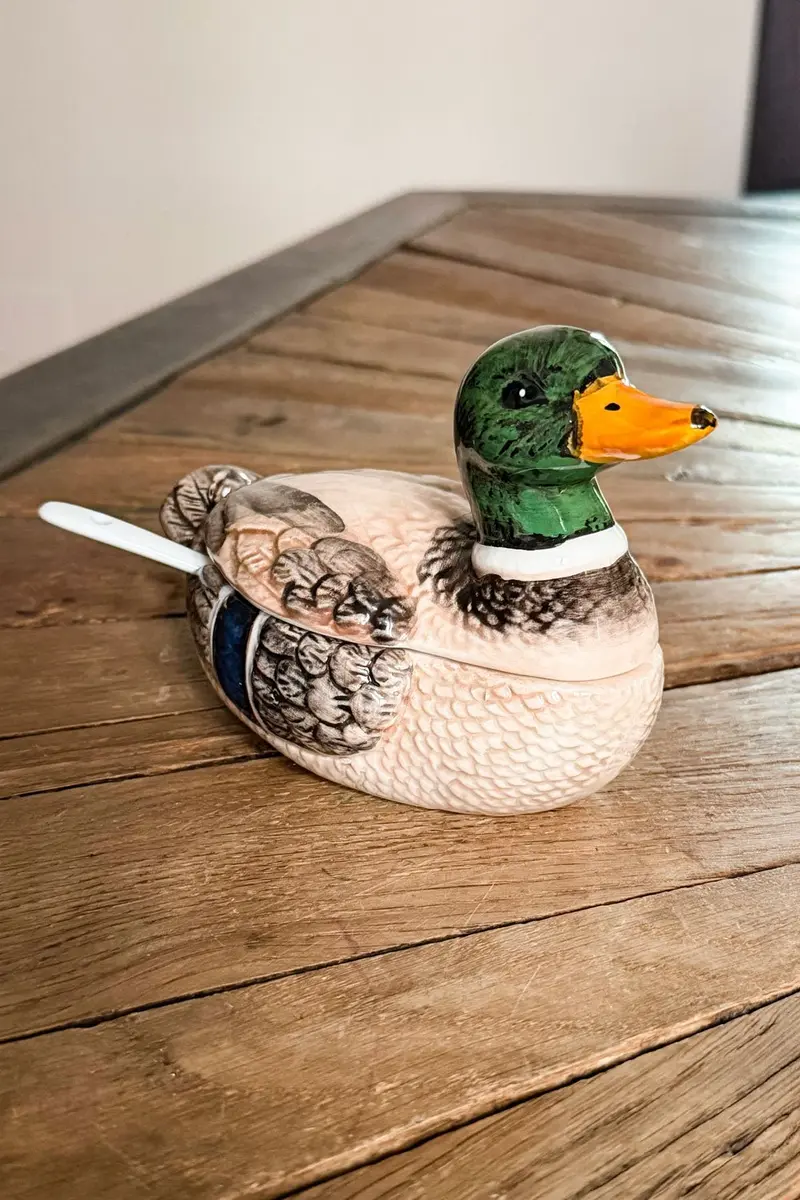 Recipiente Con Tapa Y Cuchara Diseño Pato
