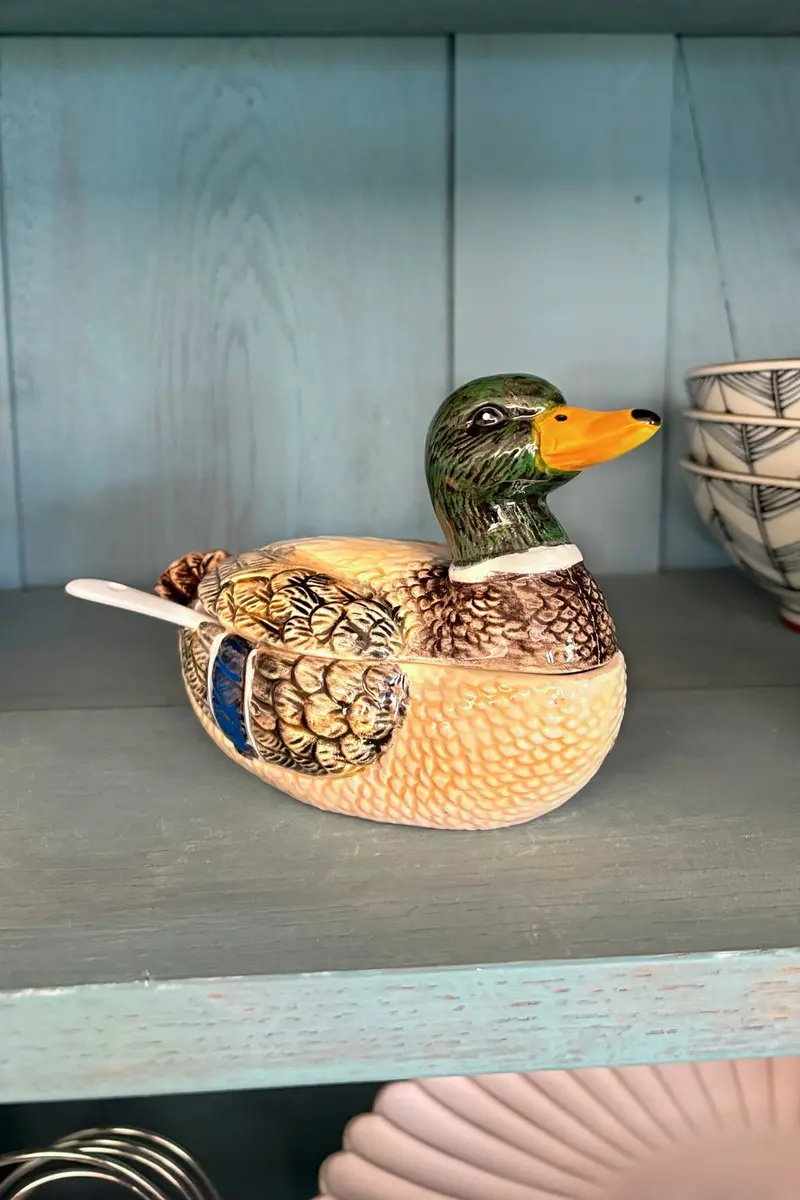 Recipiente Con Tapa Y Cuchara Diseño Pato