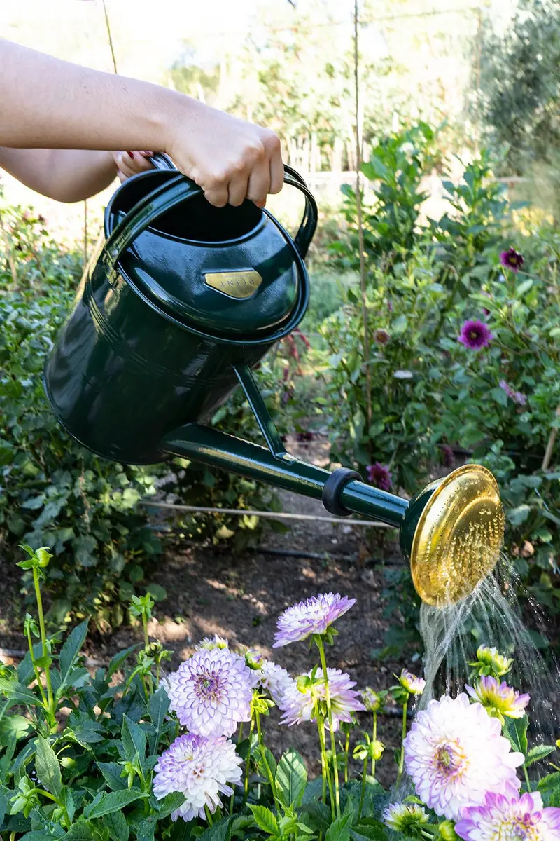 Regadera De Metal Verde 9L
