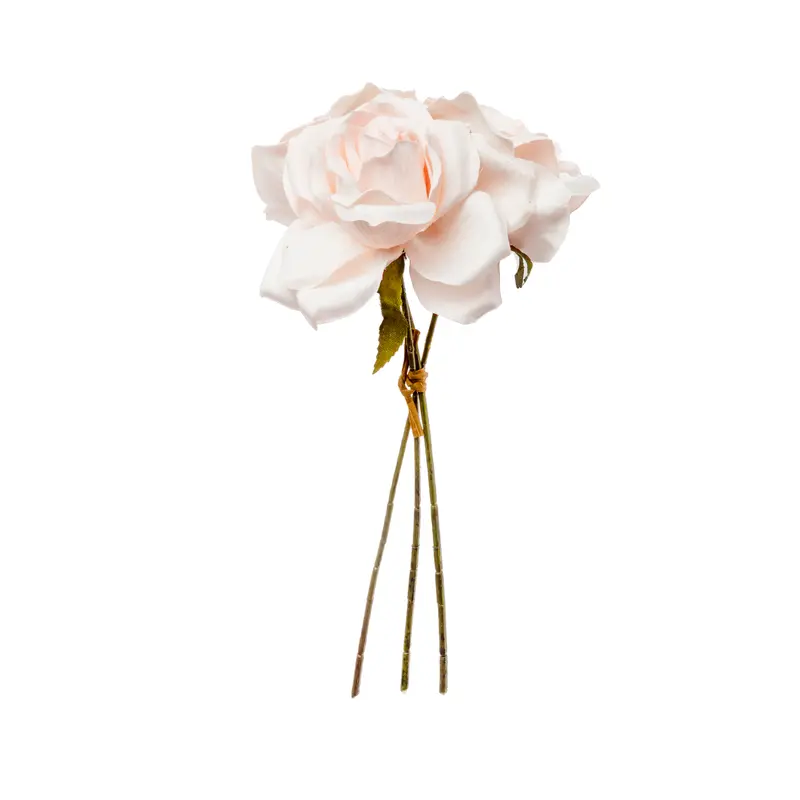 Rose bundle