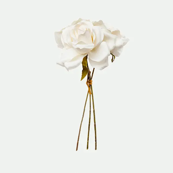 Rose bundle